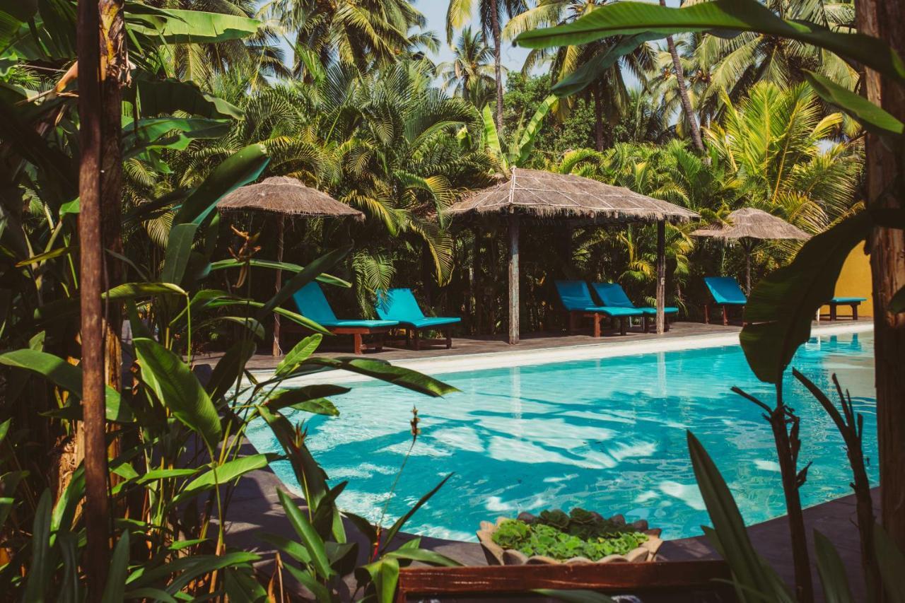 Devarya Wellness Beach Resort Morjim Eksteriør bilde