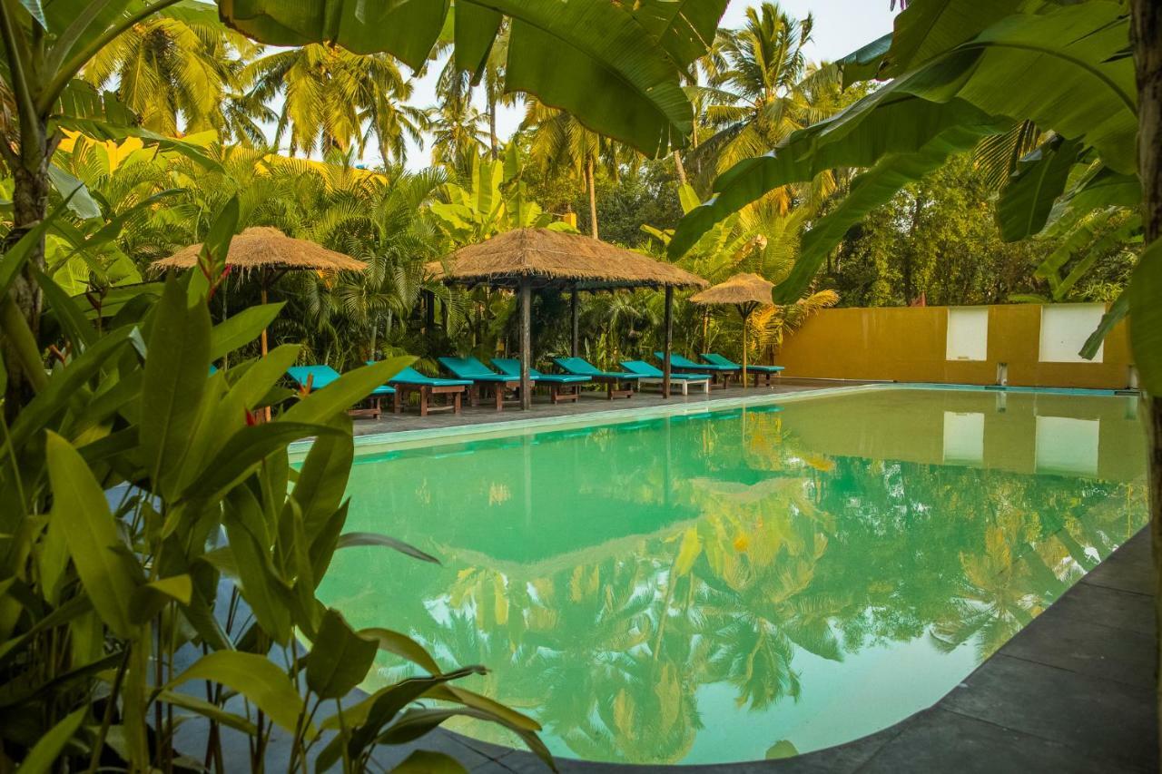 Devarya Wellness Beach Resort Morjim Eksteriør bilde